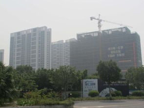 搶租南沙城好房 超低價機會，先到先得，可注冊公司