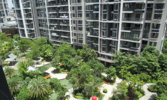 深圳海月五期公寓 辦公兩用空房，現(xiàn)代租賃新選擇